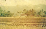 Ranamagar family farm and house